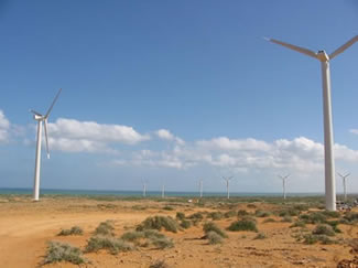 Wind turbine farm